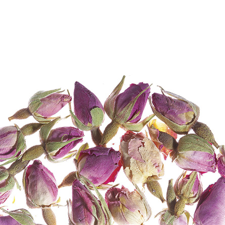 French Rose | Французская Роза